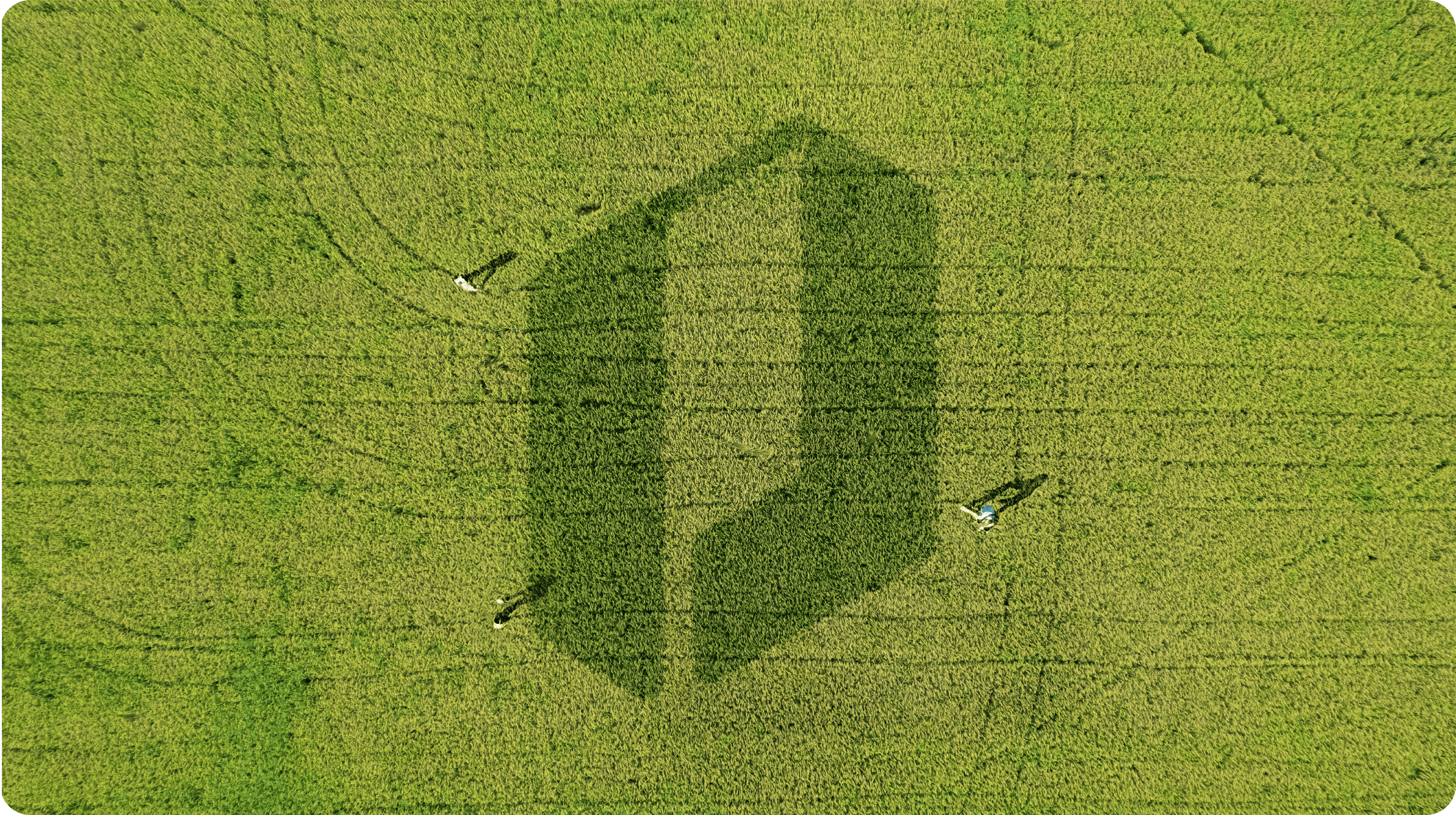 Phuoc Dien Hero Image